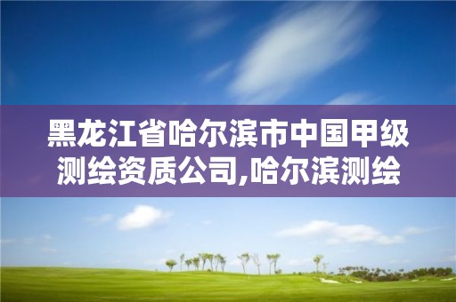 黑龙江省哈尔滨市中国甲级测绘资质公司,哈尔滨测绘勘察研究院怎么样