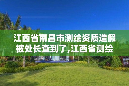 江西省南昌市测绘资质造假被处长查到了,江西省测绘资质单位公示名单。