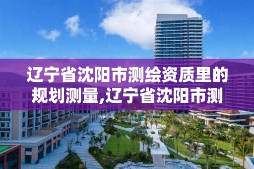 辽宁省沈阳市测绘资质里的规划测量,辽宁省沈阳市测绘资质里的规划测量是什么