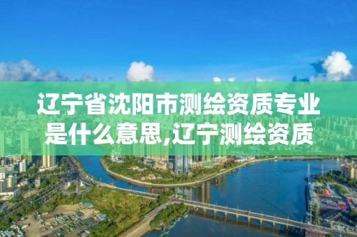 辽宁省沈阳市测绘资质专业是什么意思,辽宁测绘资质管理系统登录。