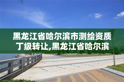 黑龙江省哈尔滨市测绘资质丁级转让,黑龙江省哈尔滨市测绘局