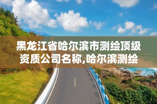 黑龙江省哈尔滨市测绘顶级资质公司名称,哈尔滨测绘局是干什么的。