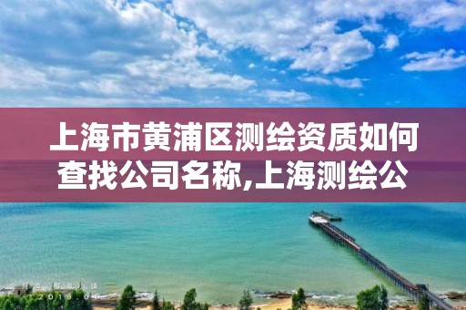 上海市黄浦区测绘资质如何查找公司名称,上海测绘公司有哪几家。