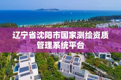 辽宁省沈阳市国家测绘资质管理系统平台