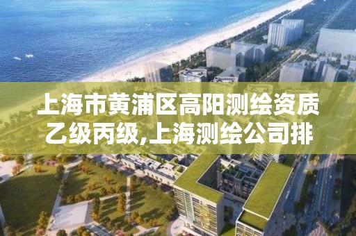 上海市黄浦区高阳测绘资质乙级丙级,上海测绘公司排名名单