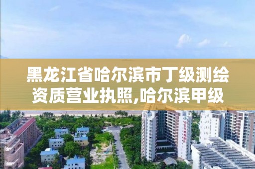 黑龙江省哈尔滨市丁级测绘资质营业执照,哈尔滨甲级测绘公司