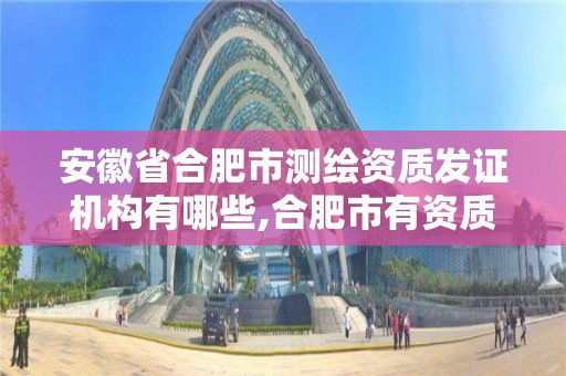 安徽省合肥市测绘资质发证机构有哪些,合肥市有资质的测绘公司