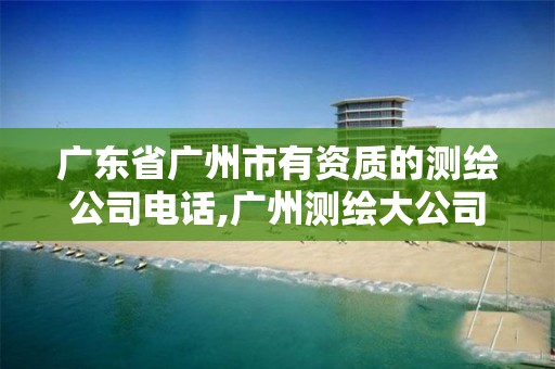 广东省广州市有资质的测绘公司电话,广州测绘大公司有哪些。