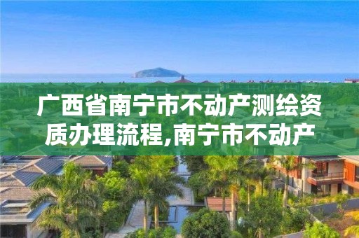 广西省南宁市不动产测绘资质办理流程,南宁市不动产登记中心测绘。