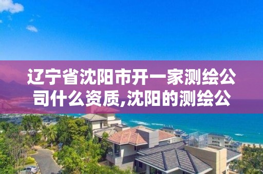 辽宁省沈阳市开一家测绘公司什么资质,沈阳的测绘公司。