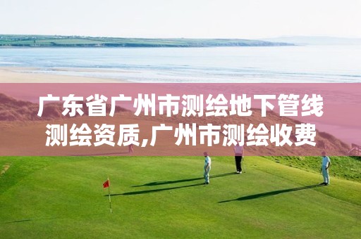 广东省广州市测绘地下管线测绘资质,广州市测绘收费标准