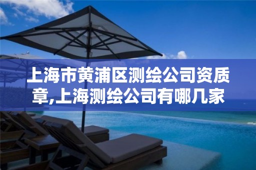 上海市黄浦区测绘公司资质章,上海测绘公司有哪几家