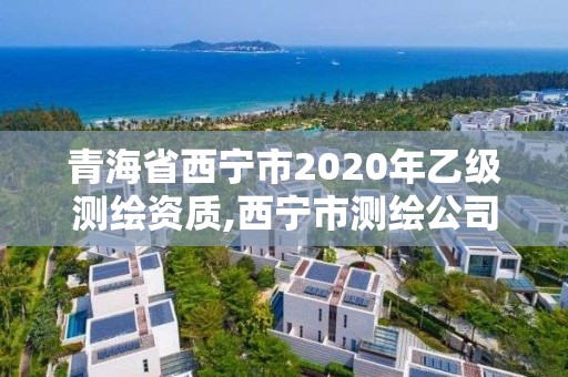 青海省西宁市2020年乙级测绘资质,西宁市测绘公司