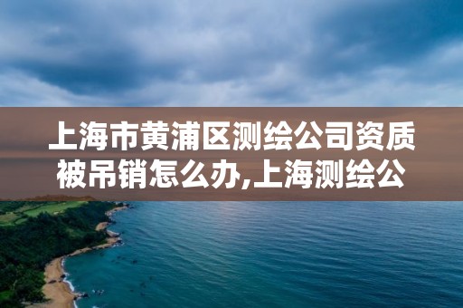 上海市黄浦区测绘公司资质被吊销怎么办,上海测绘公司排名名单