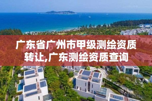 广东省广州市甲级测绘资质转让,广东测绘资质查询