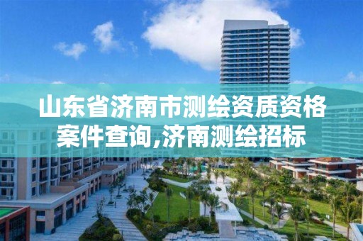 山东省济南市测绘资质资格案件查询,济南测绘招标