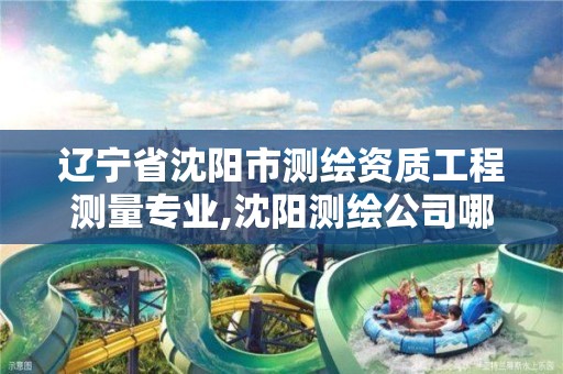 辽宁省沈阳市测绘资质工程测量专业,沈阳测绘公司哪家强哪家好