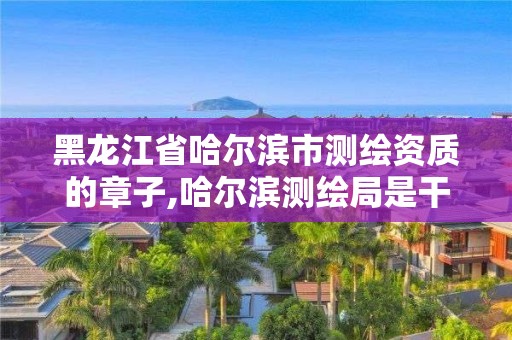 黑龙江省哈尔滨市测绘资质的章子,哈尔滨测绘局是干什么的