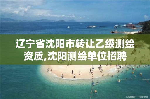 辽宁省沈阳市转让乙级测绘资质,沈阳测绘单位招聘