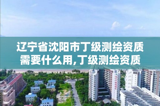 辽宁省沈阳市丁级测绘资质需要什么用,丁级测绘资质申请人员条件。