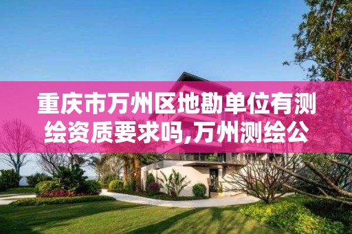 重庆市万州区地勘单位有测绘资质要求吗,万州测绘公司。