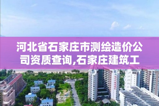 河北省石家庄市测绘造价公司资质查询,石家庄建筑工程测量