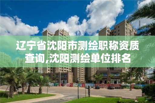 辽宁省沈阳市测绘职称资质查询,沈阳测绘单位排名