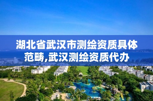 湖北省武汉市测绘资质具体范畴,武汉测绘资质代办