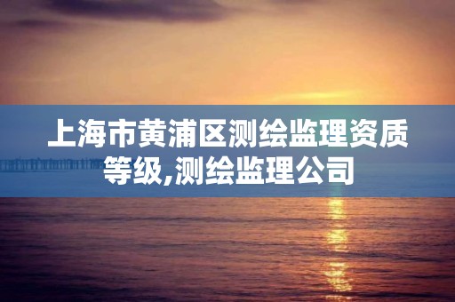 上海市黄浦区测绘监理资质等级,测绘监理公司