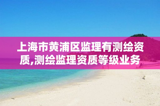 上海市黄浦区监理有测绘资质,测绘监理资质等级业务范围及承揽范围