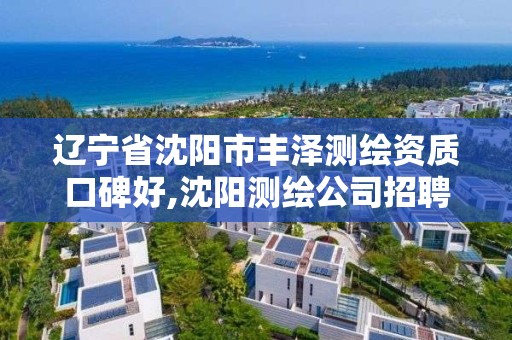 辽宁省沈阳市丰泽测绘资质口碑好,沈阳测绘公司招聘信息最新招聘