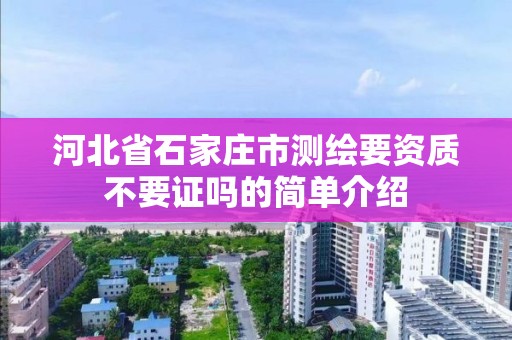 河北省石家庄市测绘要资质不要证吗的简单介绍