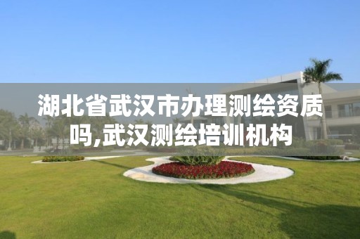 湖北省武汉市办理测绘资质吗,武汉测绘培训机构