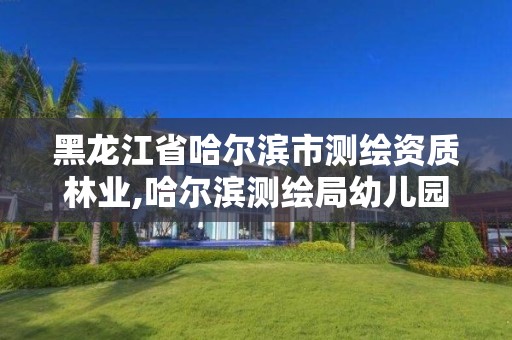 黑龙江省哈尔滨市测绘资质林业,哈尔滨测绘局幼儿园是民办还是公办