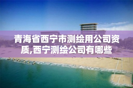 青海省西宁市测绘用公司资质,西宁测绘公司有哪些