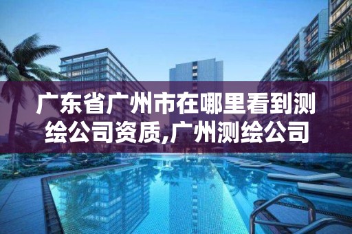 广东省广州市在哪里看到测绘公司资质,广州测绘公司有哪些