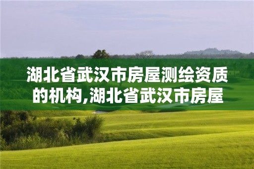 湖北省武汉市房屋测绘资质的机构,湖北省武汉市房屋测绘资质的机构有哪些