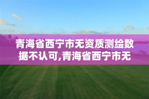 青海省西宁市无资质测绘数据不认可,青海省西宁市无资质测绘数据不认可的公司