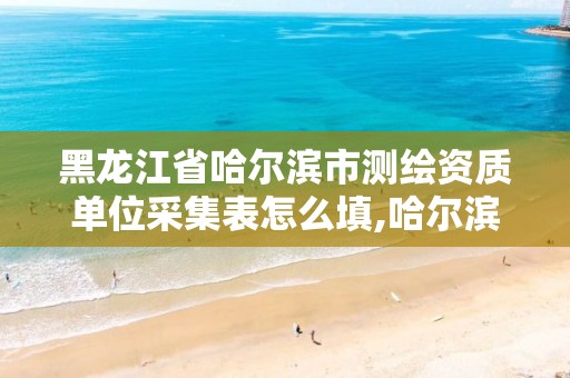 黑龙江省哈尔滨市测绘资质单位采集表怎么填,哈尔滨测绘局是干什么的。