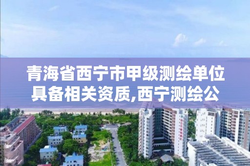 青海省西宁市甲级测绘单位具备相关资质,西宁测绘公司联系方式。