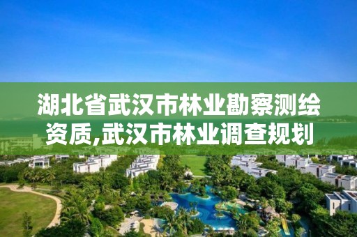 湖北省武汉市林业勘察测绘资质,武汉市林业调查规划设计院怎么样