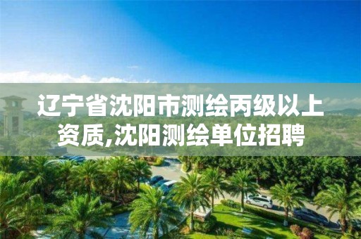 辽宁省沈阳市测绘丙级以上资质,沈阳测绘单位招聘