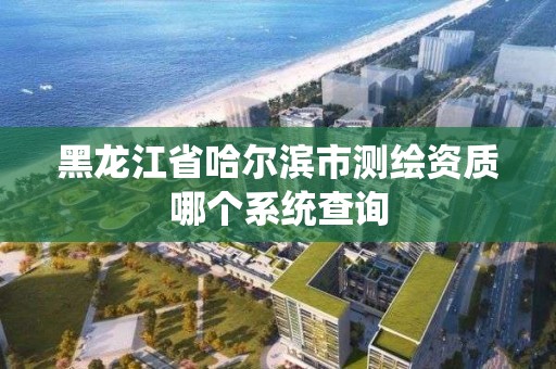 黑龙江省哈尔滨市测绘资质哪个系统查询