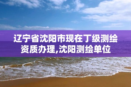 辽宁省沈阳市现在丁级测绘资质办理,沈阳测绘单位