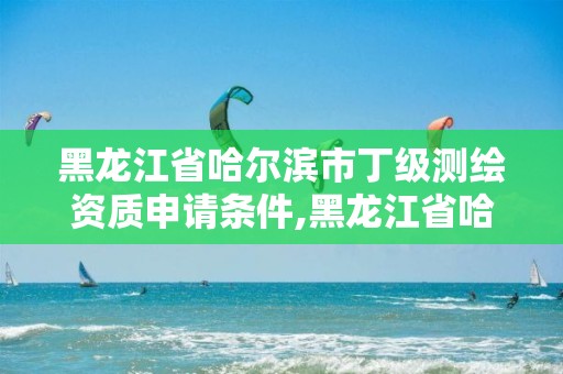 黑龙江省哈尔滨市丁级测绘资质申请条件,黑龙江省哈尔滨市测绘局