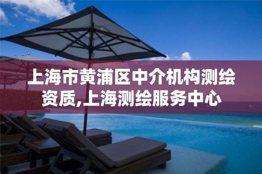 上海市黄浦区中介机构测绘资质,上海测绘服务中心