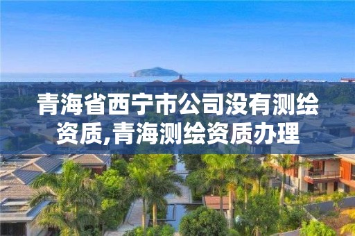 青海省西宁市公司没有测绘资质,青海测绘资质办理