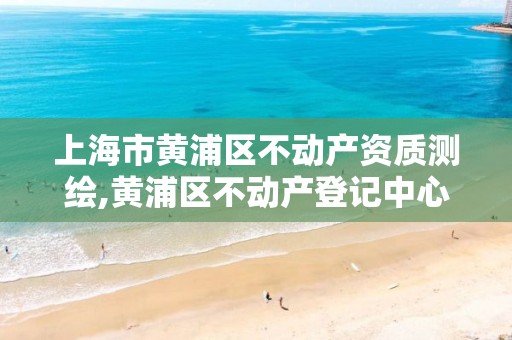 上海市黄浦区不动产资质测绘,黄浦区不动产登记中心地址