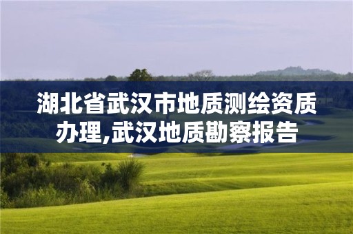 湖北省武汉市地质测绘资质办理,武汉地质勘察报告