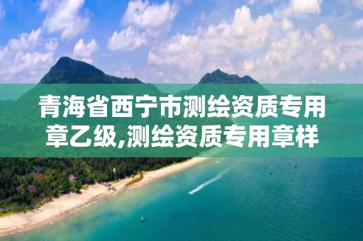 青海省西宁市测绘资质专用章乙级,测绘资质专用章样式图